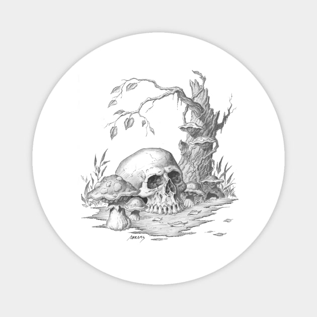 Autumn Skull Magnet by Paul_Abrams